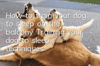 How to train your dog to sleep on the balcony? Training your dog to sleep techniques!
