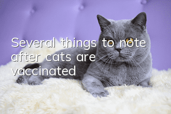 Several things to note after cats are vaccinated