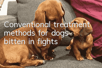 Conventional treatment methods for dogs bitten in fights