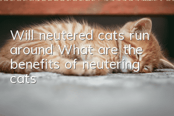 Will neutered cats run around? What are the benefits of neutering cats?