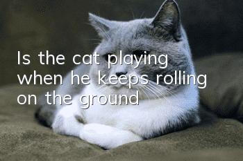 Is the cat playing when he keeps rolling on the ground?