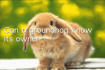 Can a groundhog know its owner?