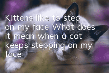 Kittens like to step on my face? What does it mean when a cat keeps stepping on my face?