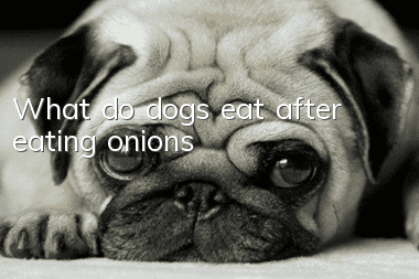 What do dogs eat after eating onions?