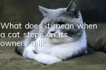 What does it mean when a cat steps on its owner's milk?