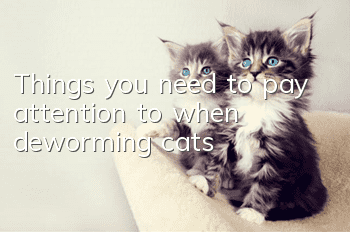 Things you need to pay attention to when deworming cats