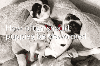 How often should puppies be dewormed?