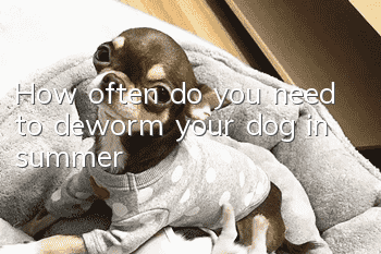 How often do you need to deworm your dog in summer?
