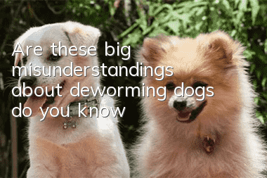 Are these big misunderstandings about deworming dogs, do you know?