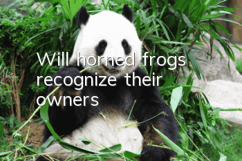 Will horned frogs recognize their owners?