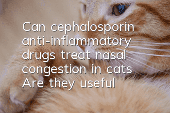 Can cephalosporin anti-inflammatory drugs treat nasal congestion in cats? Are they useful?