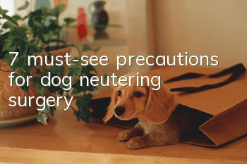 7 must-see precautions for dog neutering surgery