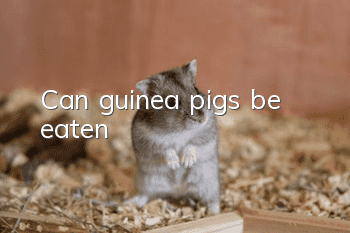 Can guinea pigs be eaten?