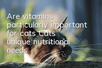 Are vitamins particularly important for cats? Cats’ unique nutritional needs!