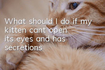 What should I do if my kitten can’t open its eyes and has secretions?