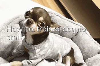 How to train a dog to smile