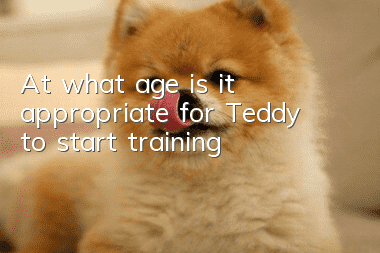 At what age is it appropriate for Teddy to start training?