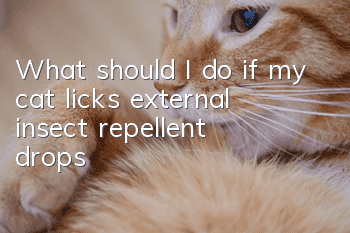 What should I do if my cat licks external insect repellent drops?