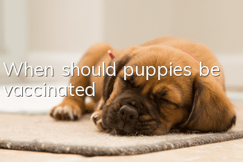 When should puppies be vaccinated?