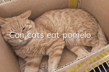 Can cats eat pomelo?