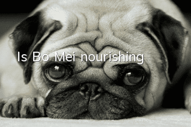 Is Bo Mei nourishing?