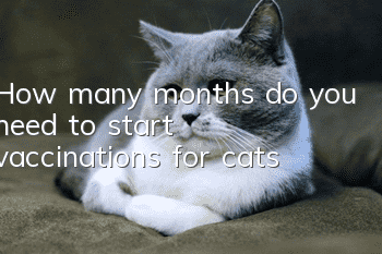 How many months do you need to start vaccinations for cats?