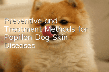 Preventive and Treatment Methods for Papillon Dog Skin Diseases