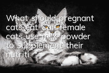 What should pregnant cats eat? Can female cats use milk powder to supplement their nutrition when pregnant?
