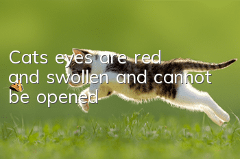 Cat’s eyes are red and swollen and cannot be opened