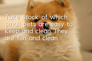 Take stock of which small pets are easy to keep and clean? They are fun and clean!