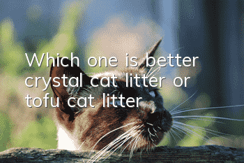 Which one is better, crystal cat litter or tofu cat litter?