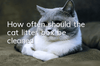 How often should the cat litter box be cleaned?