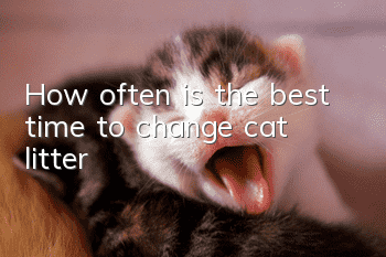 How often is the best time to change cat litter?