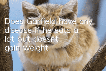 Does Garfield have any disease if he eats a lot but doesn't gain weight?