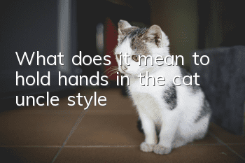 What does it mean to hold hands in the cat uncle style?