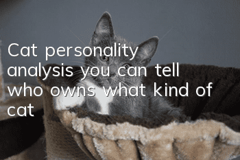Cat personality analysis, you can tell who owns what kind of cat