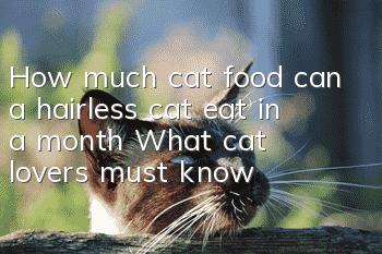 How much cat food can a hairless cat eat in a month? What cat lovers must know!