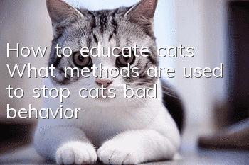How to educate cats? What methods are used to stop cats’ bad behavior?