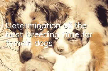 Determination of the best breeding time for female dogs