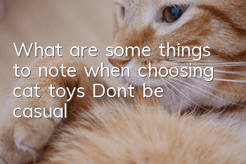 What are some things to note when choosing cat toys? Don’t be casual!