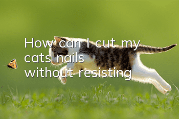How can I cut my cat's nails without resisting?