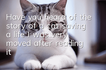 Have you heard of the story of a cat saving a life? I was very moved after reading it!