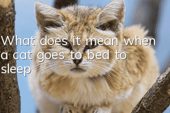 What does it mean when a cat goes to bed to sleep?