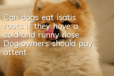 Can dogs eat isatis roots if they have a cold and runny nose? Dog owners should pay attention!