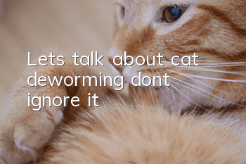 Let’s talk about cat deworming, don’t ignore it!