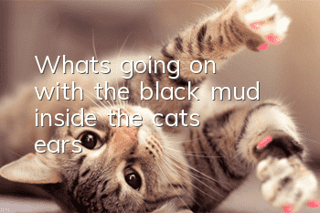 What's going on with the black mud inside the cat's ears?