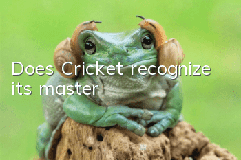Does Cricket recognize its master?