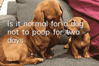 Is it normal for a dog not to poop for two days?
