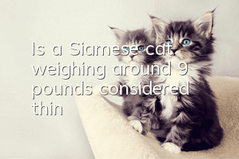 Is a Siamese cat weighing around 9 pounds considered thin?