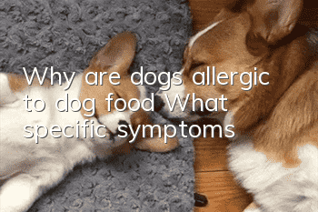 Why are dogs allergic to dog food? What specific symptoms?